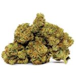 Acapulco Gold Strain