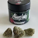 AREA 41 ALIEN LABS - Image 3