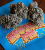 GEORGIA PIE STRAIN