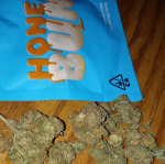 HONEY BUN STRAIN