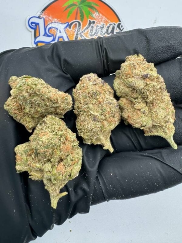 Cannatique Farms – Cake Walk Littles – 14g