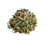 LSD Strain