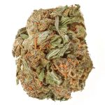 Buy Purple Haze Strain