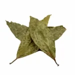 Diplopterys cabrerana (chaliponga) leaves 50g
