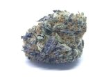 Gorilla Glue Strain