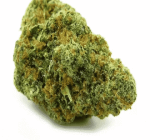 Gelato Weed Strain