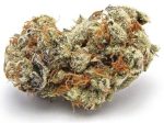 Cookies and Cream Strain