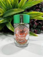 BABY JEETER INFUSED PRE-ROLLS – CANNALOPE