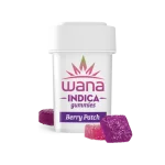 BERRY PATCH (REC) // INDICA