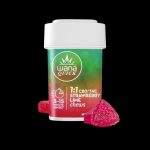 STRAWBERRY LIME (REC) // 1:1 CBD/THC