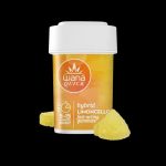 LIMONCELLO (REC) // HYBRID
