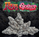 Jungle Boys | KUSH SORBET I- 3.5g Flower