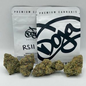 Rsll Dajo Strain